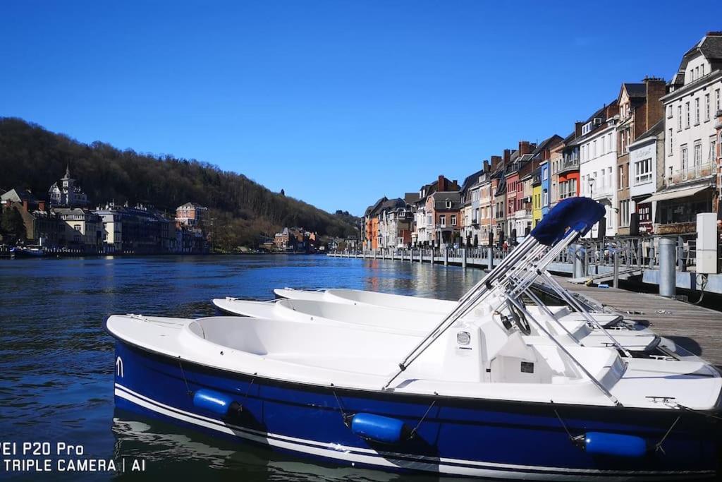 Vue Sur Meuse Avec Jacuzzi Et Sauna Exterieur. Yvoir Ngoại thất bức ảnh