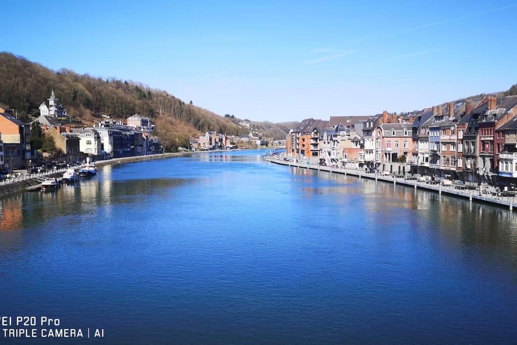Vue Sur Meuse Avec Jacuzzi Et Sauna Exterieur. Yvoir Ngoại thất bức ảnh